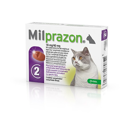 Milprazon Grote Kat -16 mg / 40 mg 2 tab