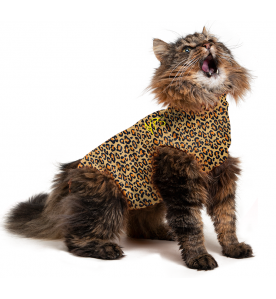 Medical Pet Shirt (Kat / Luipaardprint)