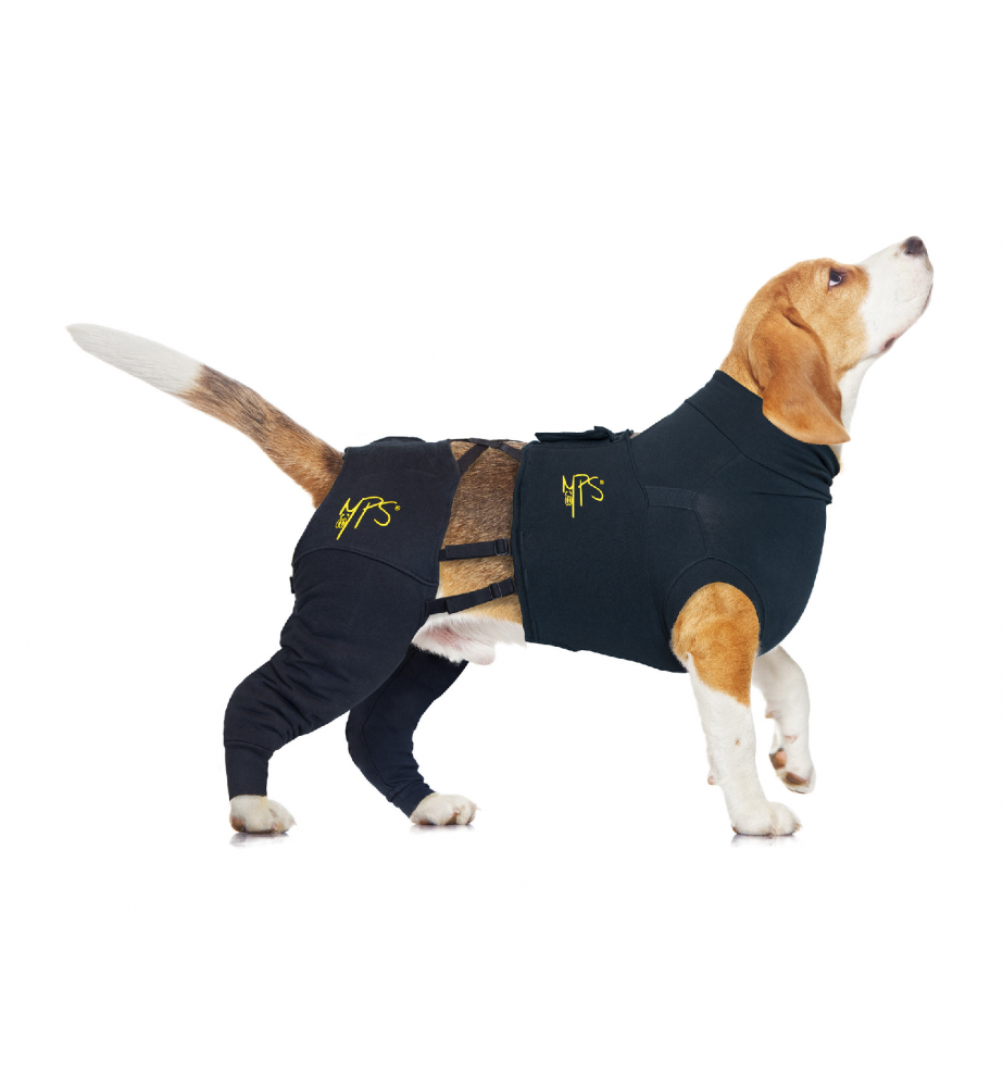 Spektakel Uil Ongunstig Medical Pet Shirt / MPS-HLS Achterpootmouwtjes Hond