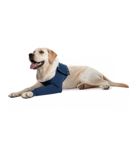 Spotlijster Continentaal Pessimistisch Medical Pet Shirt / MPS-TAZ Enkele Voorpootmouw Hond