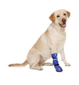MPS-Medical Pets Boot Hond