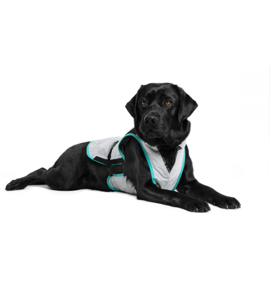 Dry Cooling Vest Hond