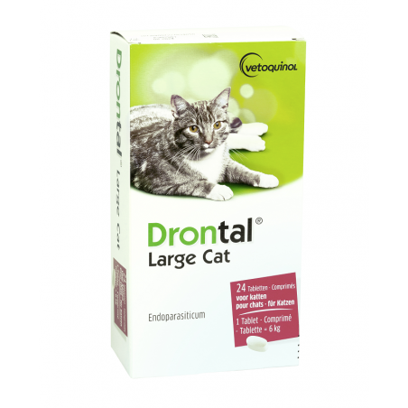 Drontal Large Cat (6 kg)