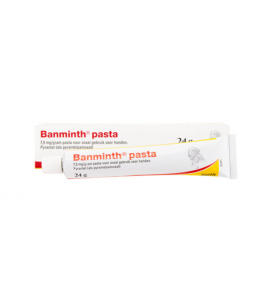 Banminth Pasta - 24 gram