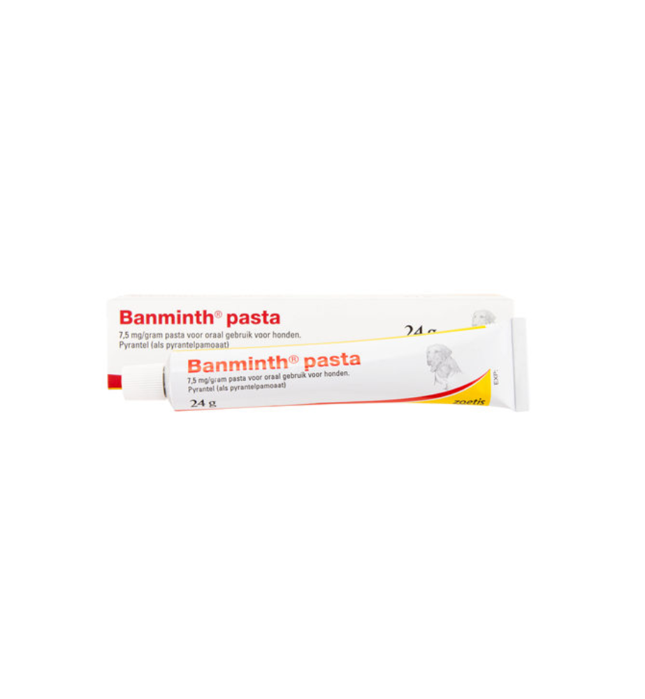 Banminth Pasta - 24 gram