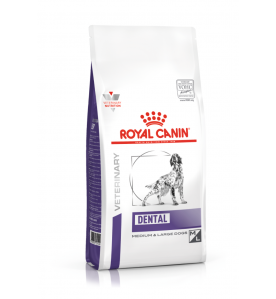 Royal Canin Dental Medium & Large Dogs