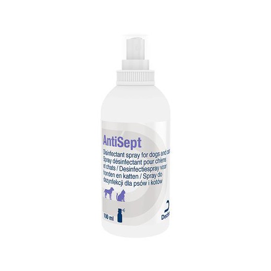 AntiSept Desinfectiespray - 100 ml
