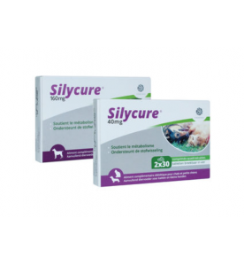 Silycure 160 mg - 30 tabletten