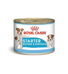 Royal Canin Starter Mousse - 12 x 195 gram