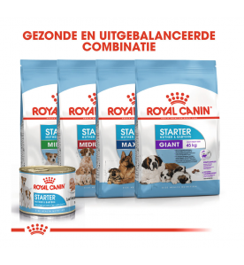 Royal Canin Starter Mousse - 12 x 195 gram