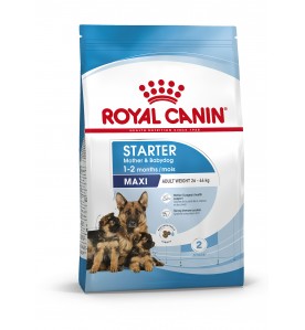 Royal Canin Starter Mother & Babydog Maxi