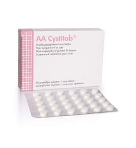 AA Cystitab - 3 x 30 tabletten