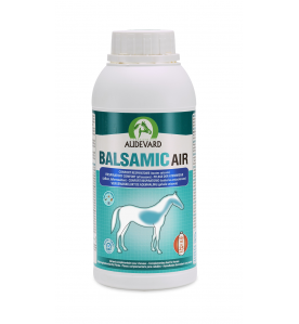 Audevard Balsamic Air - 500 ml