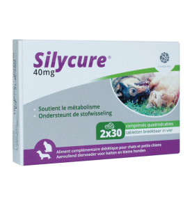 Silycure 40 mg - 60 tabletten