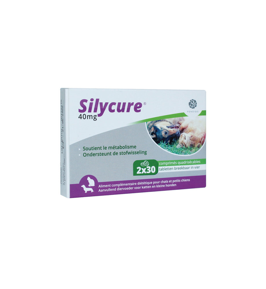 Silycure 40 mg - 60 tabletten