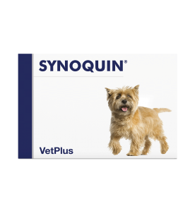 VetPlus Synoquin EFA Small Breed Hond - Capsules