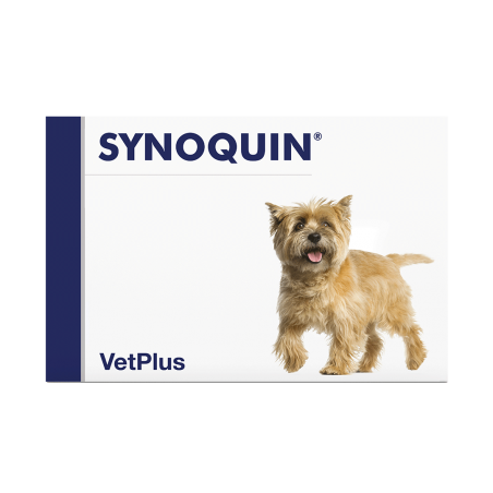 VetPlus Synoquin EFA Small Breed Hond - Capsules