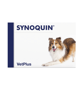 VetPlus Synoquin EFA Medium Breed Hond - Capsules