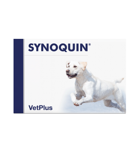 VetPlus Synoquin EFA Large Breed Hond - Capsules
