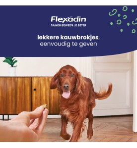Flexadin Young Dog Maxi - 60 Chews