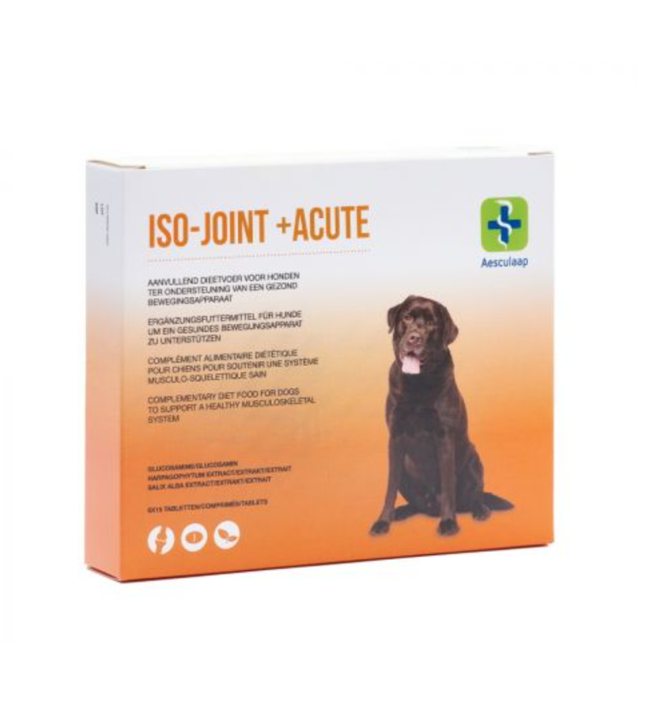 ISO-Joint +Acute - 6 x 15 tabletten