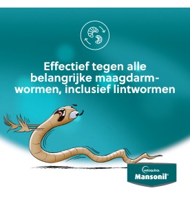 Mansonil All Worm Large Cat - 2 Tabletten