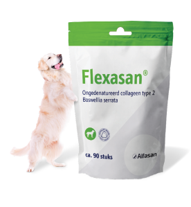 Flexasan - 90 Chews