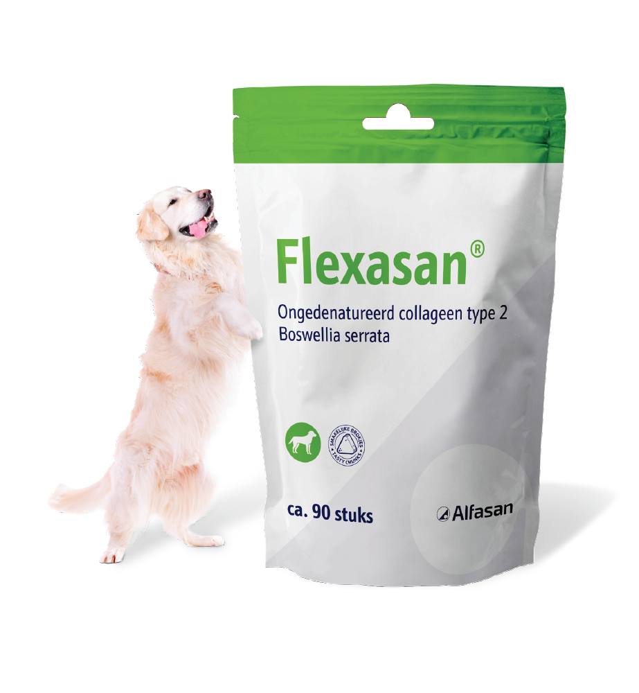 Flexasan - 90 Chews