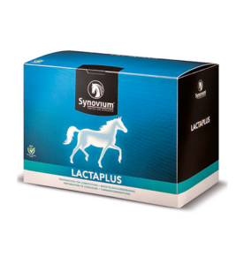 Synovium Lactaplus - 6 x 40 gram