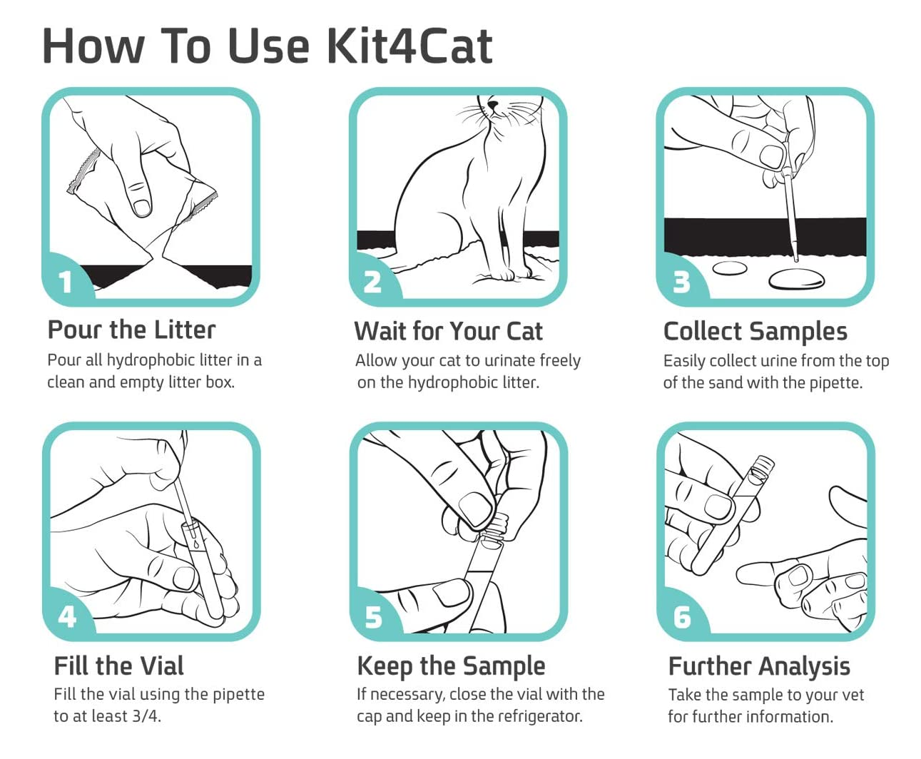 Kit 4 Cat
