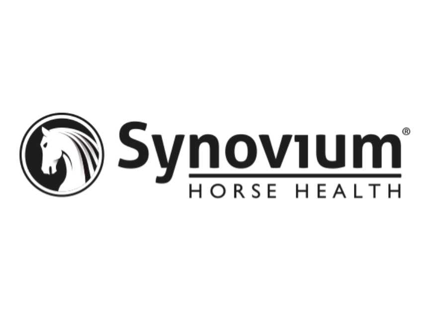 Synovium