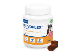 Movoflex: een uniek voedingssupplement ter ondersteuning van de gewrichten en mobiliteit van je hond!